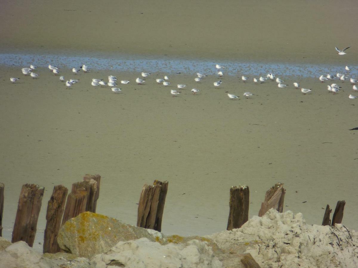 La Maison Bateau Au Bord De Mer Guisseny Bagian luar foto